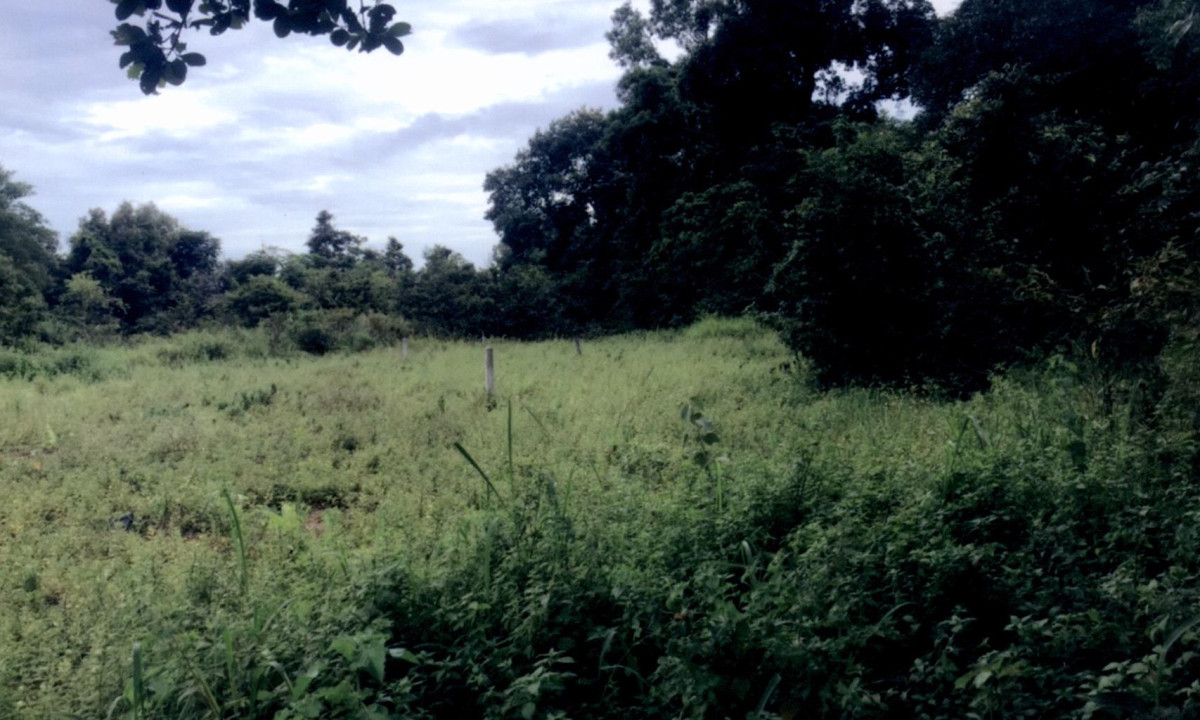 Residential land/lot Ubon Ratchathani Mueang Ubon Ratchathani Khi Lek 56000