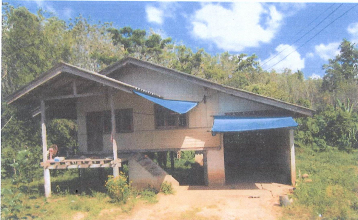 บ้านเดี่ยว สงขลา นาทวี คลองกวาง 446862