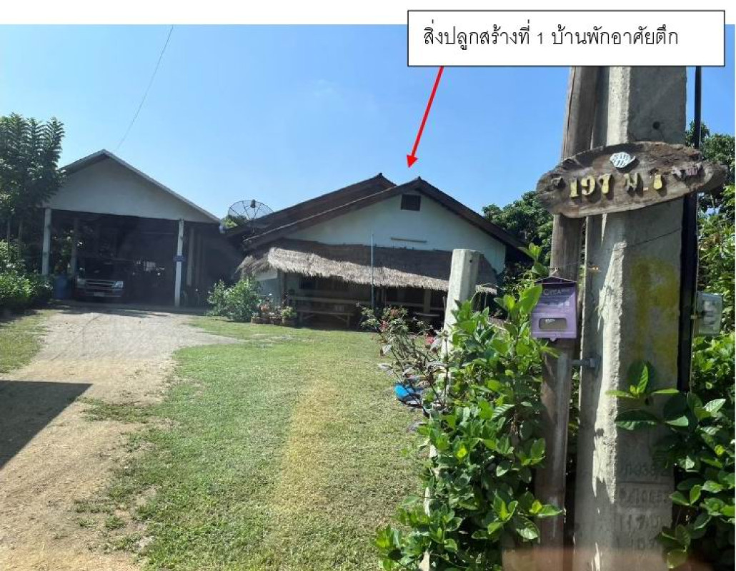 บ้านเดี่ยว เชียงใหม่ ดอยหล่อ ดอยหล่อ 926200