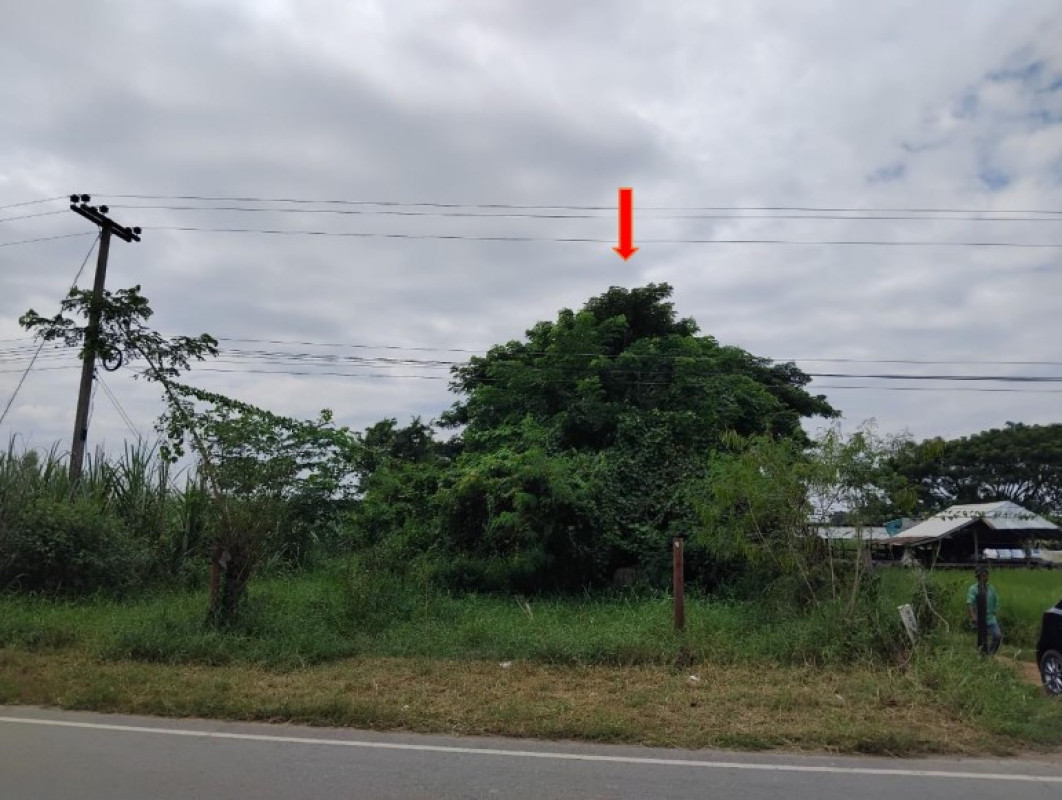 ที่ดินเปล่า ขอนแก่น น้ำพอง สะอาด 151330