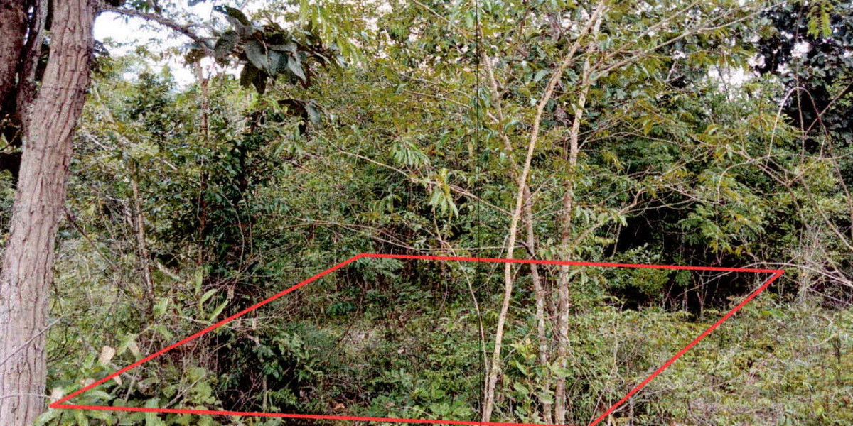 Residential land/lot Ubon Ratchathani Sawang Wirawong Kaeng Dom 37500