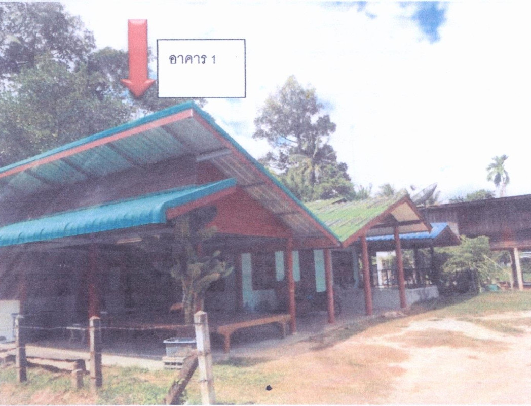 บ้านเดี่ยว อุบลราชธานี เหล่าเสือโก้ก หนองบก 841888