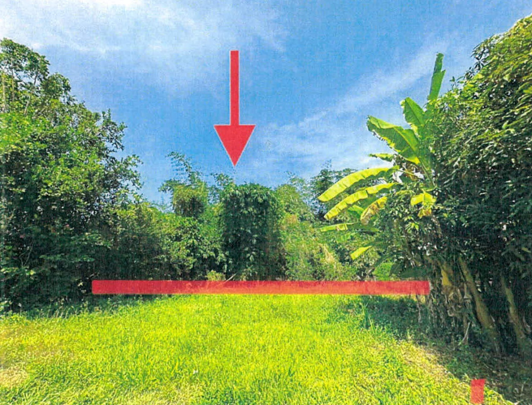 Residential land/lot Lampang Soem Ngam Soem Klang 29880
