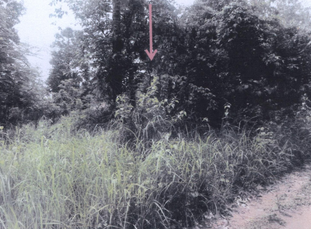 Residential land/lot Ubon Ratchathani Sawang Wirawong Tha Chang 54000