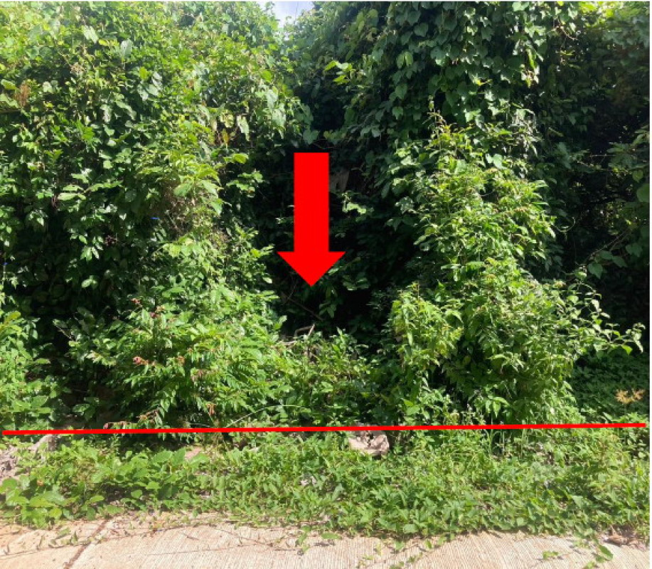 ที่ดินเปล่า อุบลราชธานี เมืองอุบลราชธานี ขี้เหล็ก 288000