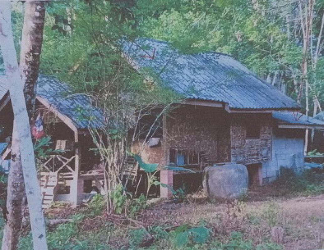 บ้านเดี่ยว ตรัง ย่านตาขาว นาชุมเห็ด 287240