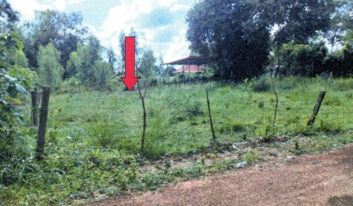 ที่ดินเปล่า อุบลราชธานี เมืองอุบลราชธานี ขามใหญ่ 198900