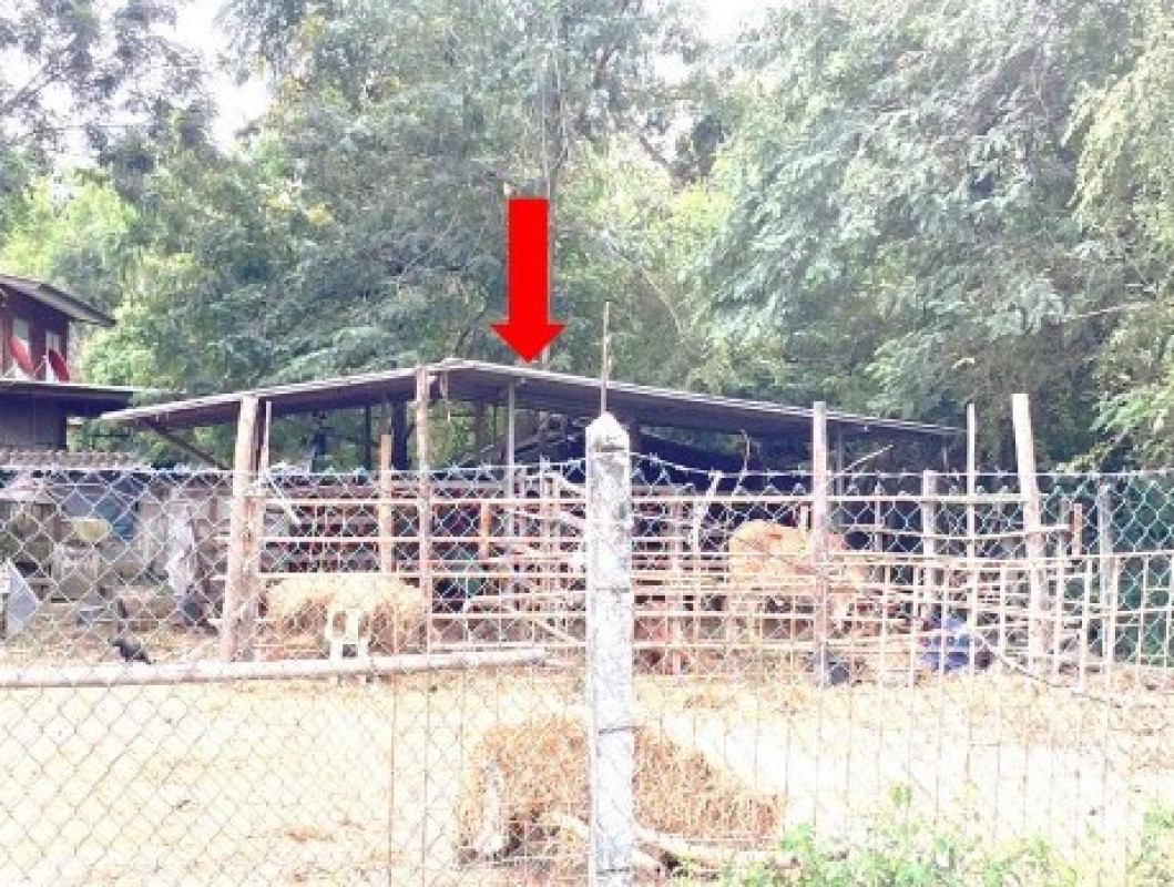 บ้านเดี่ยว อุบลราชธานี เมืองอุบลราชธานี ขามใหญ่ 569640