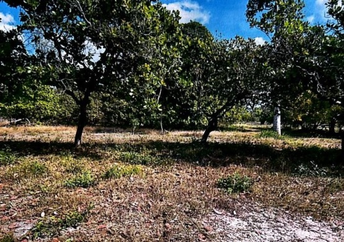 ที่ดินเปล่า อุบลราชธานี เมืองอุบลราชธานี ปะอาว 981630