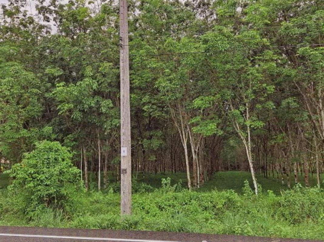 ที่ดินเปล่า ตรัง ย่านตาขาว โพรงจระเข้ 911924
