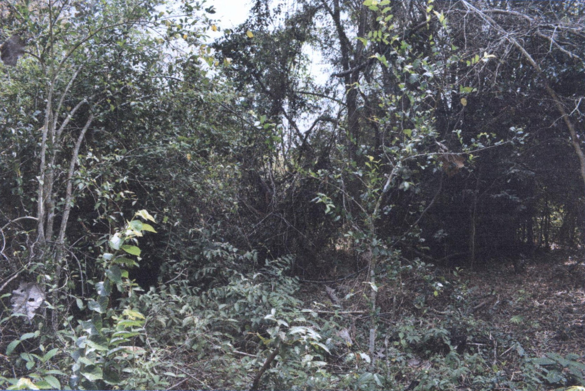 Residential land/lot Lampang Thoen Lom Raet 83500