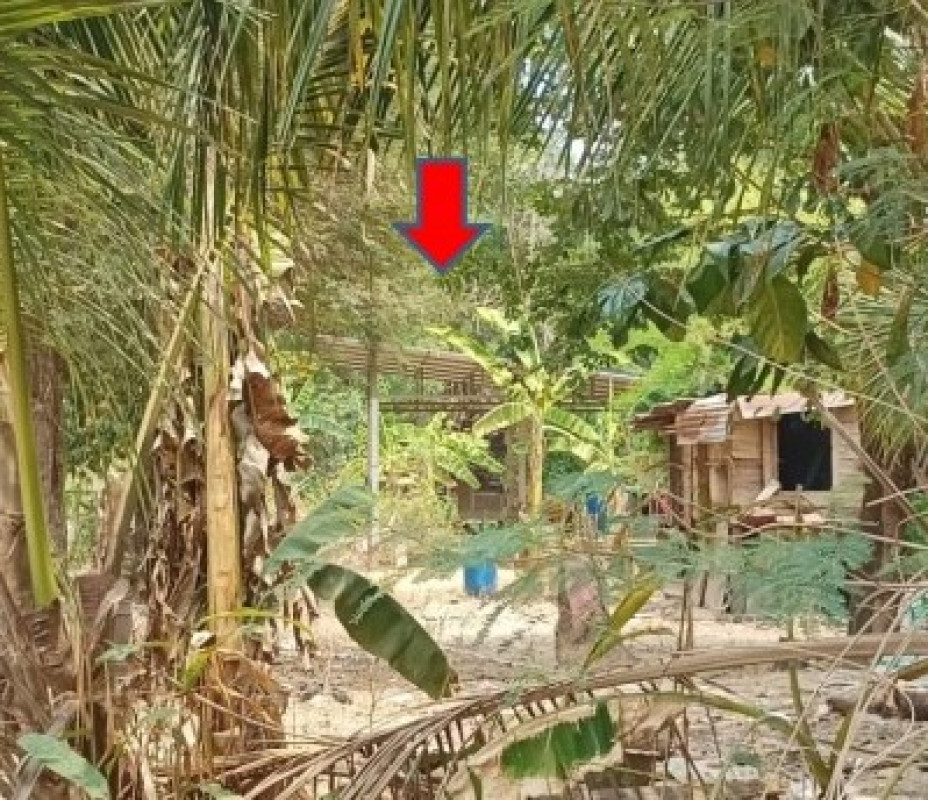 Single house Ubon Ratchathani Don Mot Daeng Don Mot Daeng 126120
