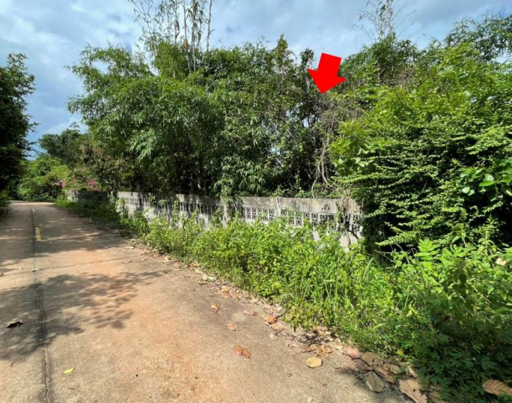 Residential land/lot Sakon Nakhon Mueang Sakon Nakhon Phang Khwang 66000