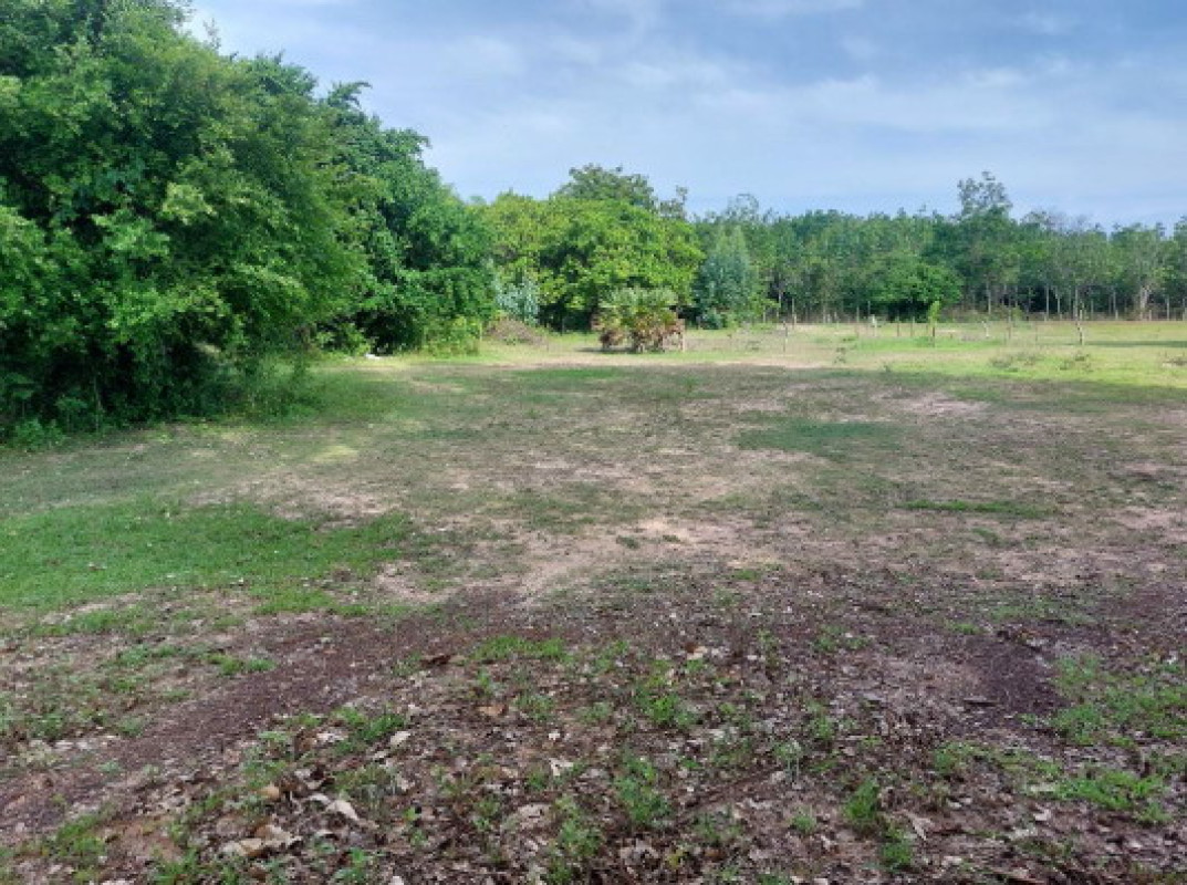 Residential land/lot Ubon Ratchathani Sawang Wirawong Tha Chang 73710