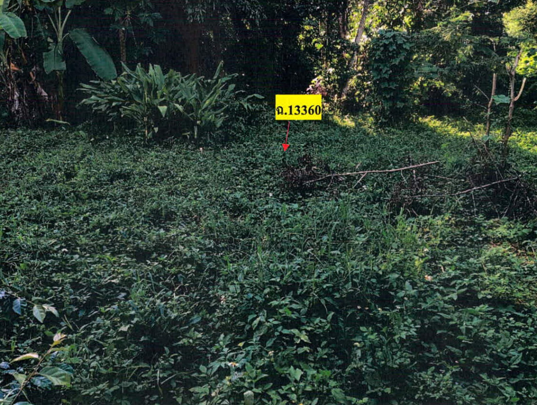 ที่ดินเปล่า ลำปาง งาว บ้านโป่ง 114660