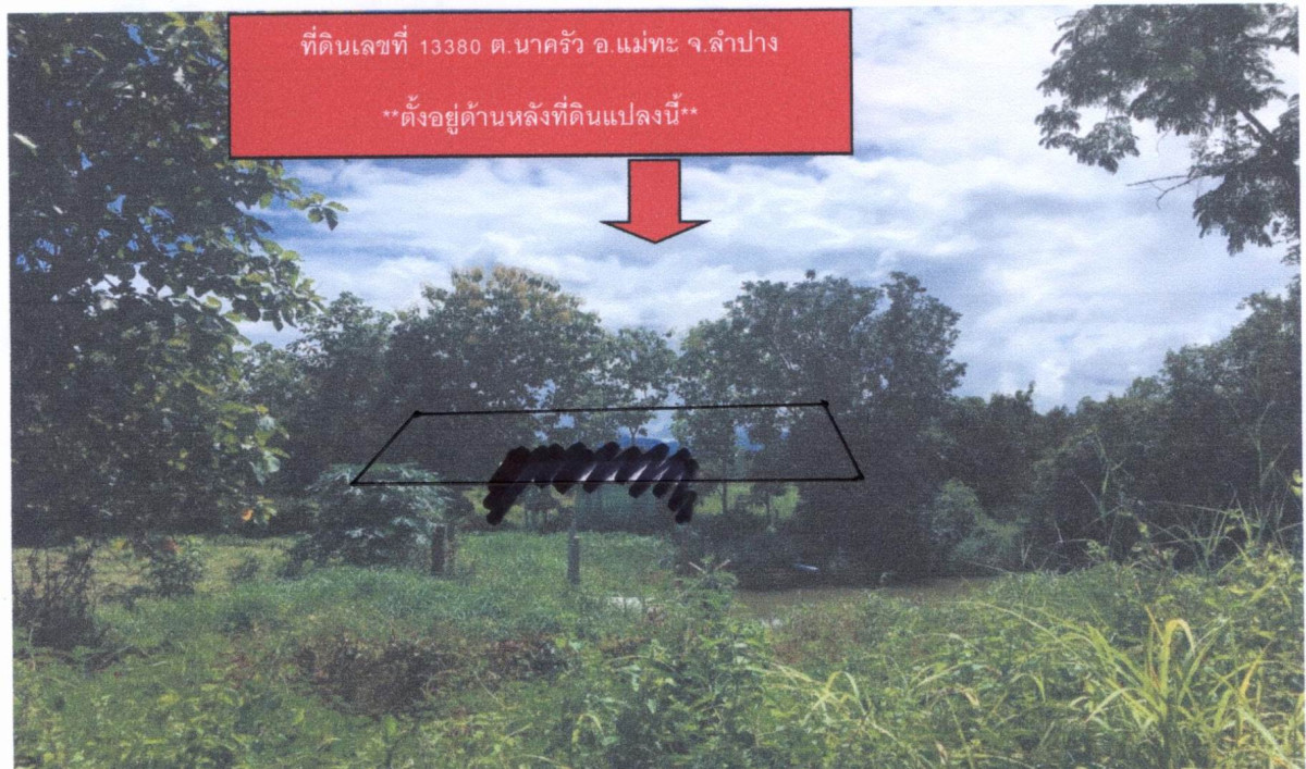 ที่ดินเปล่า ลำปาง แม่ทะ แม่ทะ 196300