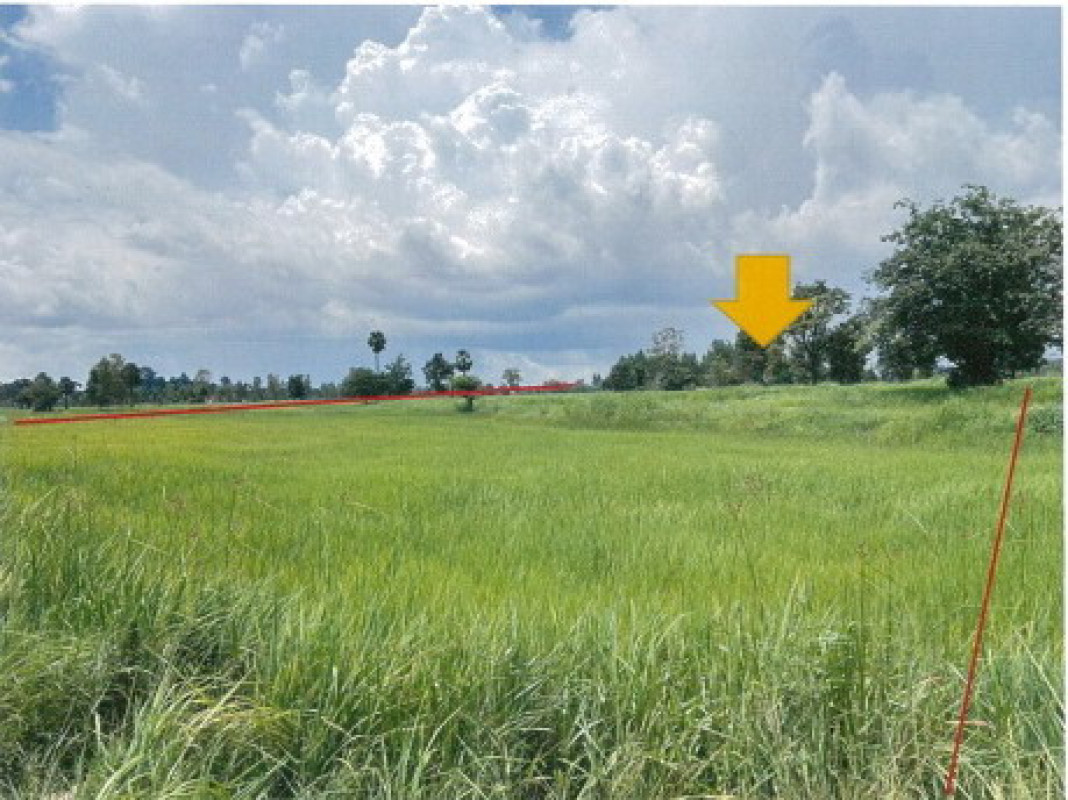 ที่ดินเปล่า กาฬสินธุ์ เมืองกาฬสินธุ์ เชียงเครือ 388800