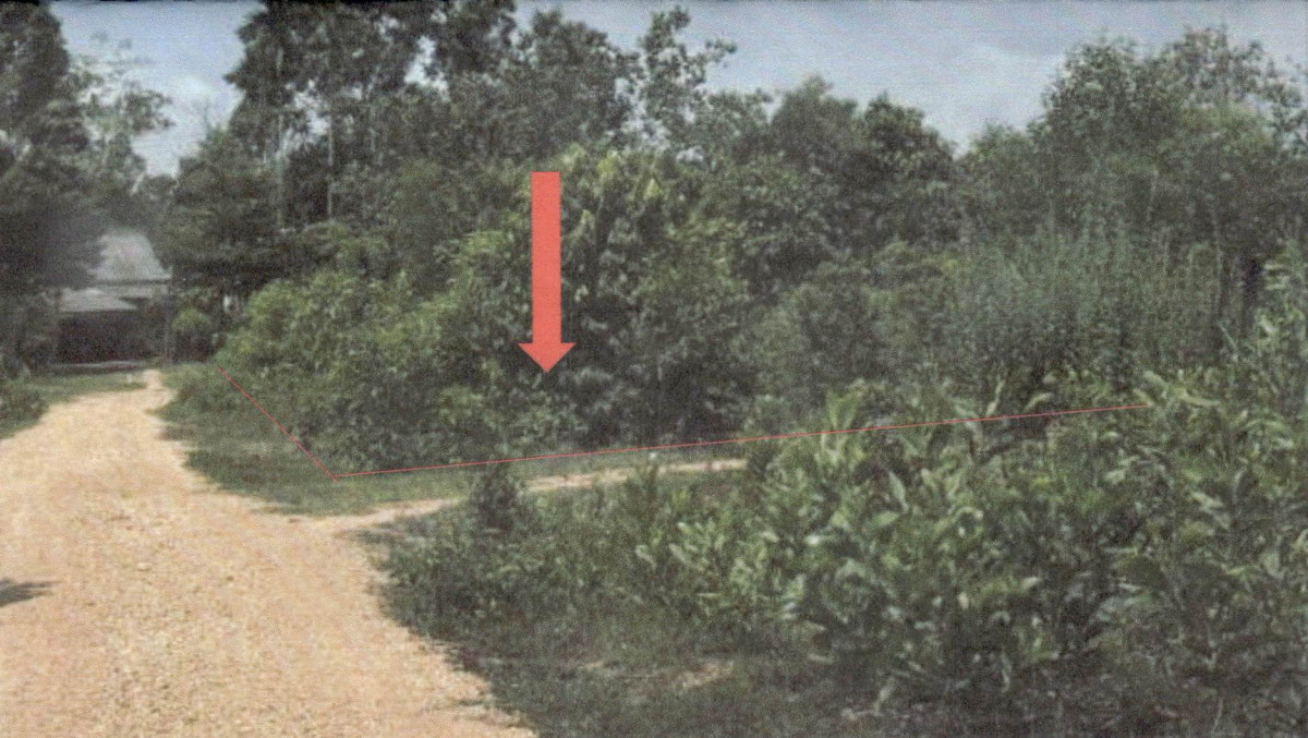 Residential land/lot Phatthalung Pak Phayun Pak Pha Yun 370800