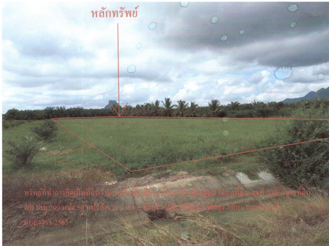 ที่ดินเปล่า พัทลุง เมืองพัทลุง ชัยบุรี 271180