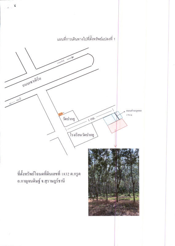 ที่ดินเปล่า สุราษฎร์ธานี กาญจนดิษฐ์ กรูด 4203000