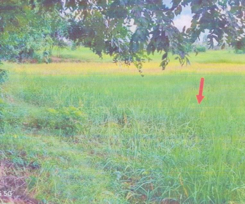 Residential land/lot Chaiyaphum Chatturat Ban Kok 126000