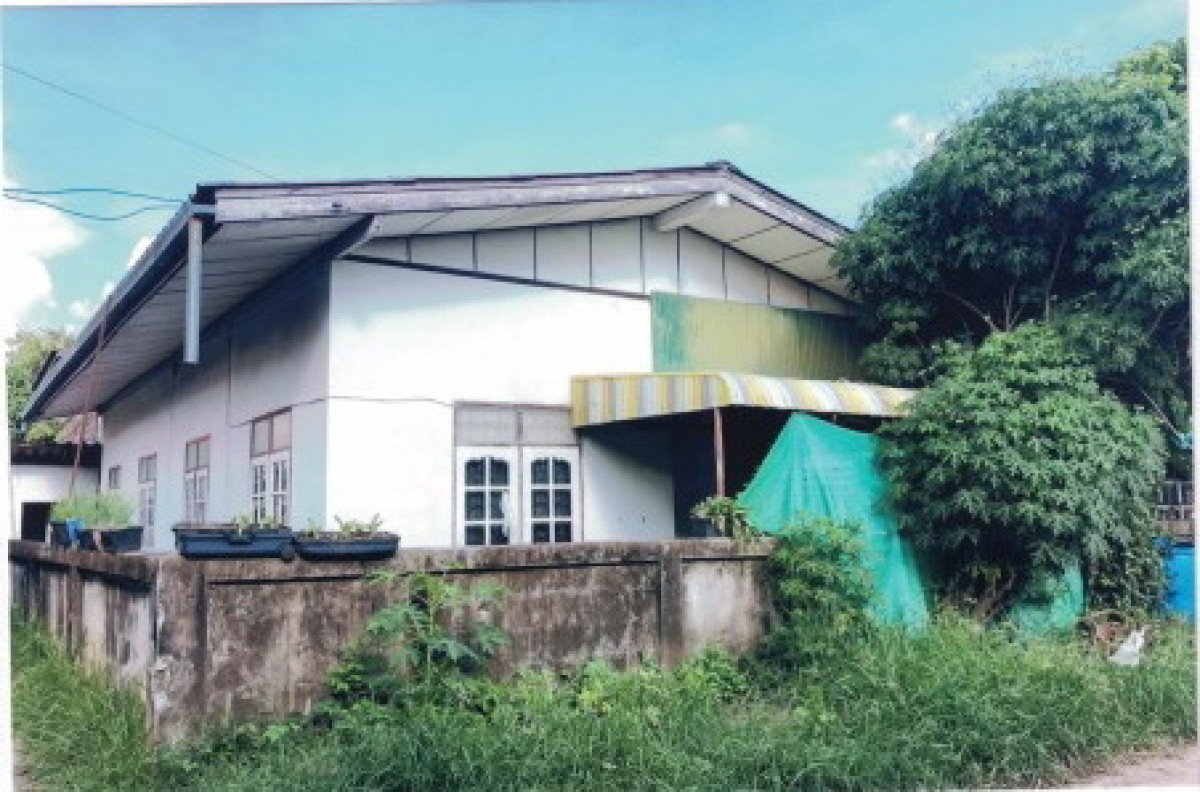 บ้านเดี่ยว กาฬสินธุ์ ดอนจาน ดอนจาน 330000