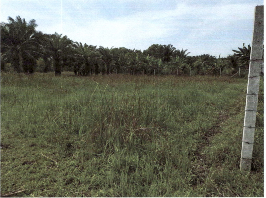 Residential land/lot Phatthalung Khuan Khanun Tanot Duan 60300