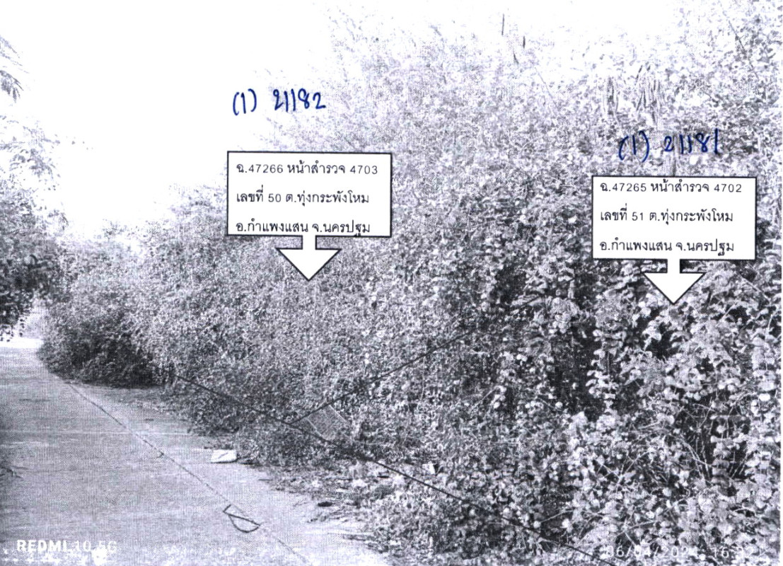 ที่ดินเปล่า นครปฐม กำแพงแสน ทุ่งกระพังโหม 51000