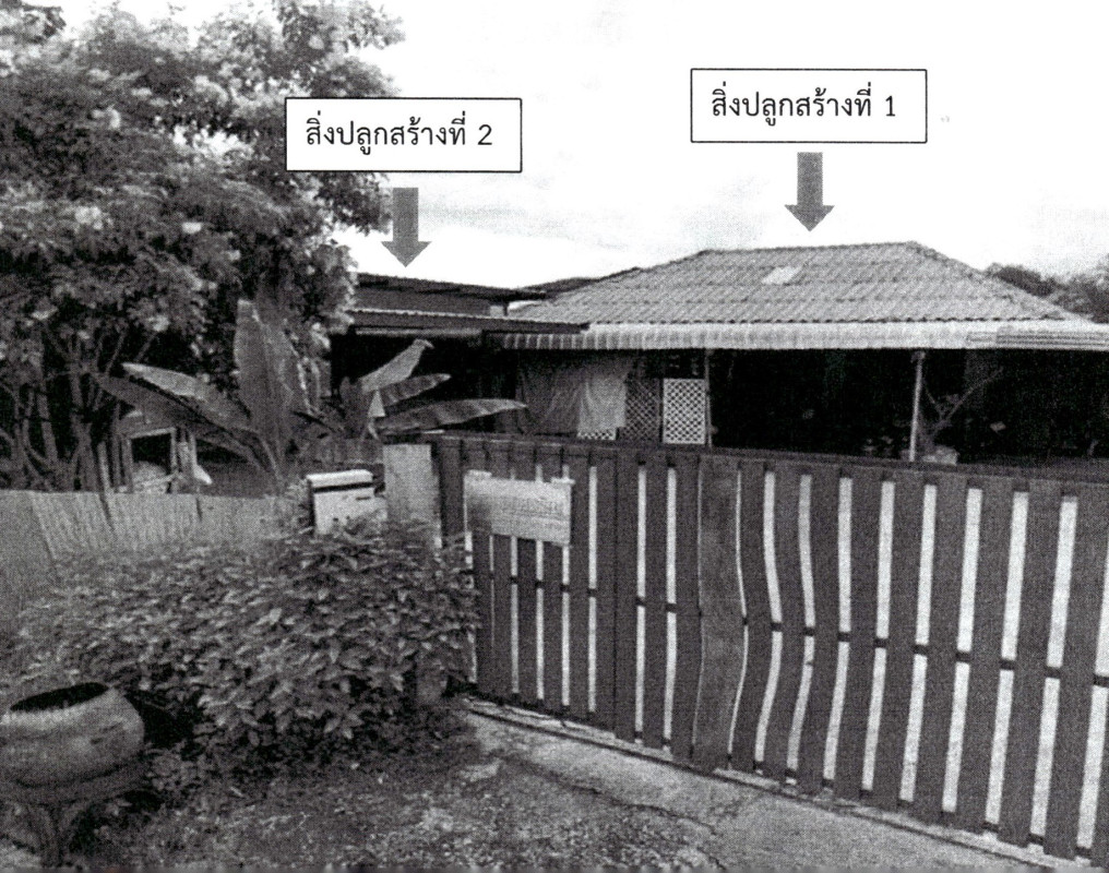 บ้านเดี่ยว ชัยภูมิ ภูเขียว โคกสะอาด 918075