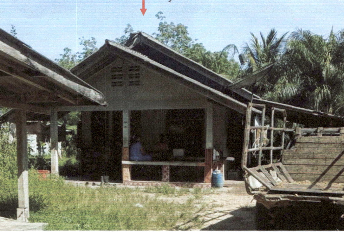บ้านเดี่ยว พัทลุง ป่าบอน วังใหม่ 984240