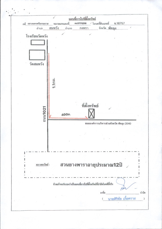 ที่ดินเปล่า พัทลุง กงหรา สมหวัง 1536900