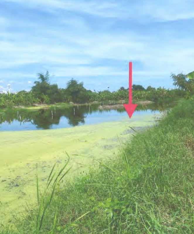 ที่ดินเปล่า สมุทรปราการ บางเสาธง บางเสาธง 162750