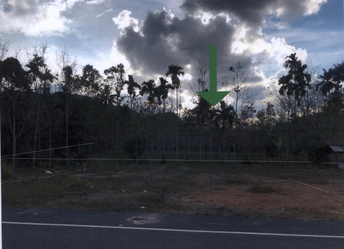 Residential land/lot Phatthalung Tamot Tanot 580420