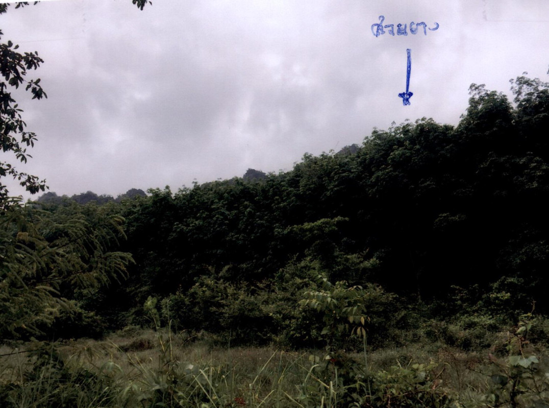 ที่ดินเปล่า สตูล ทุ่งหว้า ป่าแก่บ่อหิน 615120