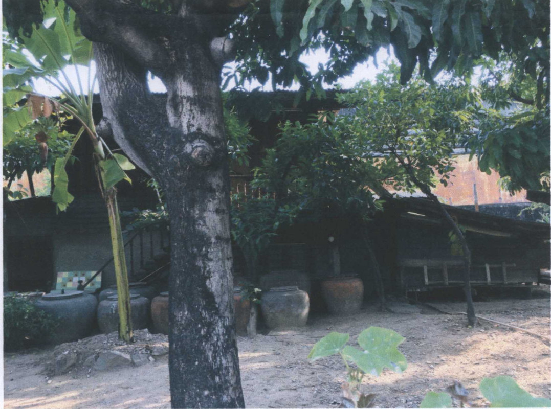 Single house Samut Prakan Phra Samut Chedi Nai Khlong Bang Pla Kot 8773000