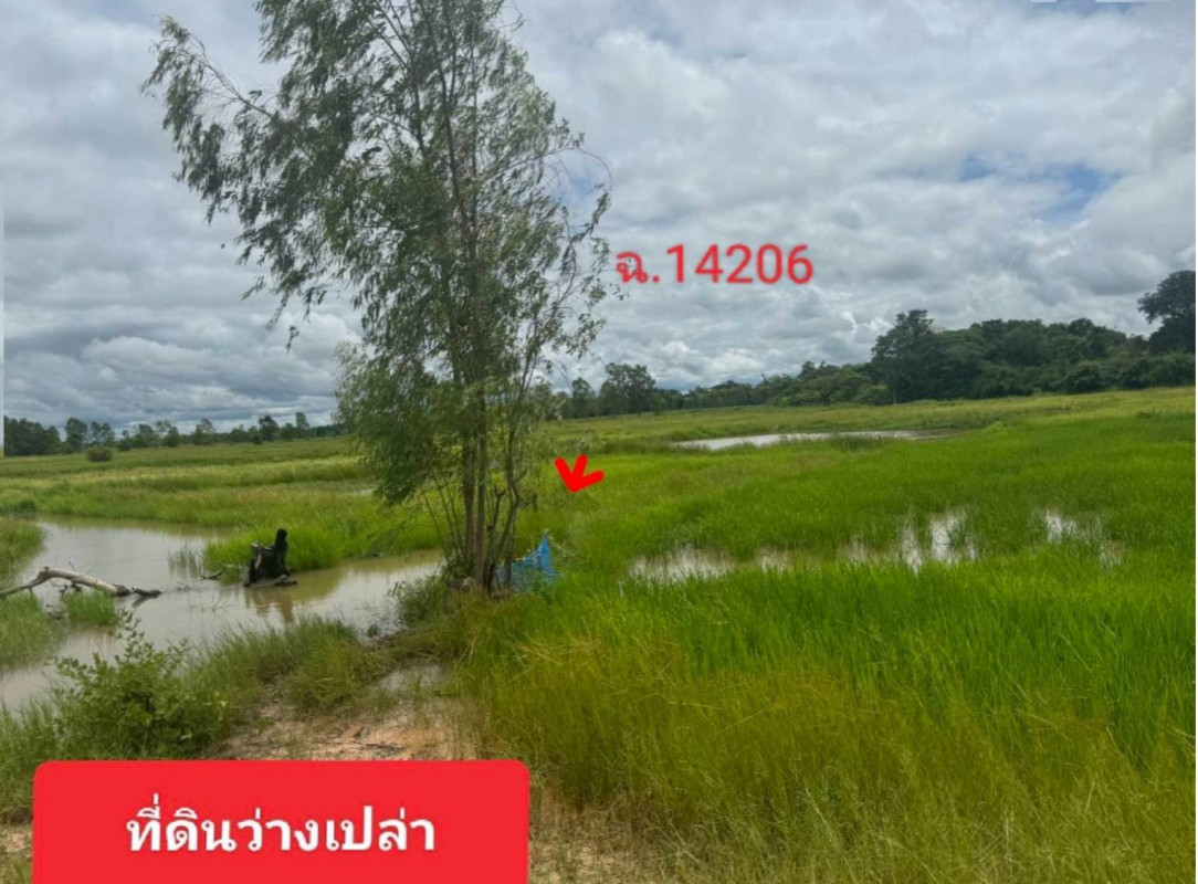 ที่ดินเปล่า สกลนคร อากาศอำนวย วาใหญ่ 146000