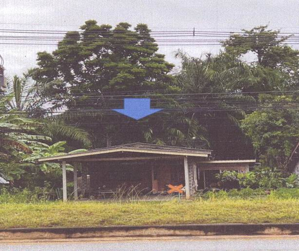 บ้านเดี่ยว กระบี่ คลองท่อม ห้วยน้ำขาว 11361730