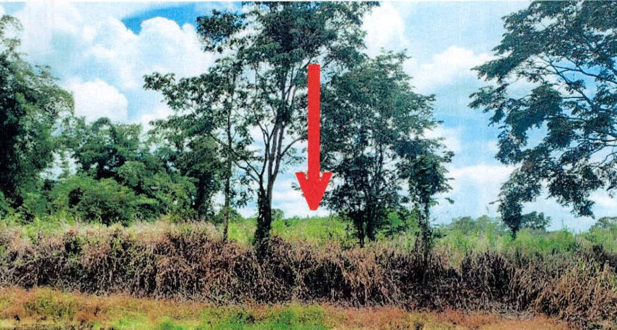 ที่ดินเปล่า ลำปาง เมืองลำปาง บ้านเสด็จ 706940