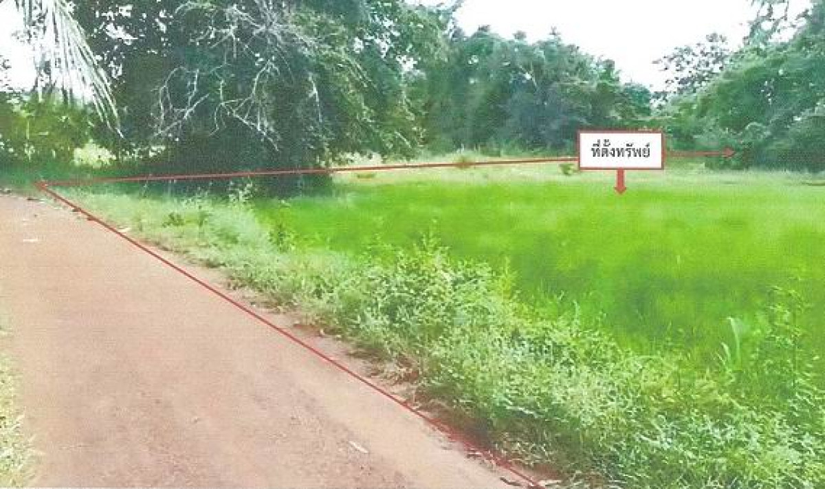 ที่ดินเปล่า สกลนคร พรรณานิคม พรรณา 142250