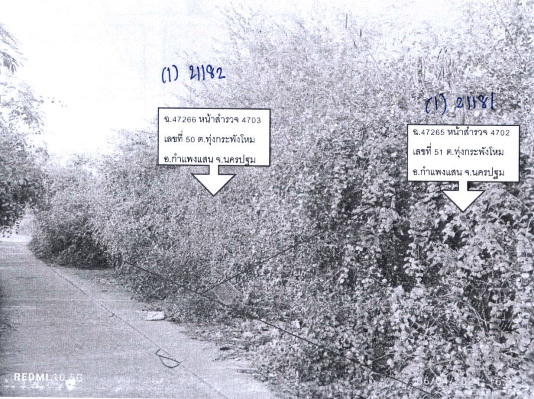 ที่ดินเปล่า นครปฐม กำแพงแสน ทุ่งกระพังโหม 58800