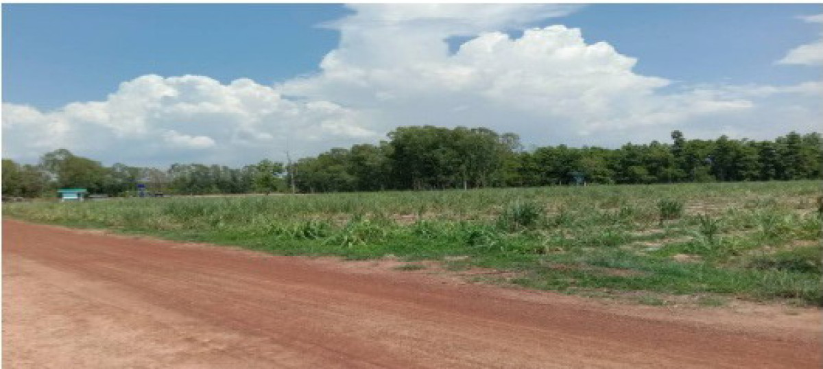ที่ดินเปล่า กาฬสินธุ์ หนองกุงศรี หนองสรวง 912000
