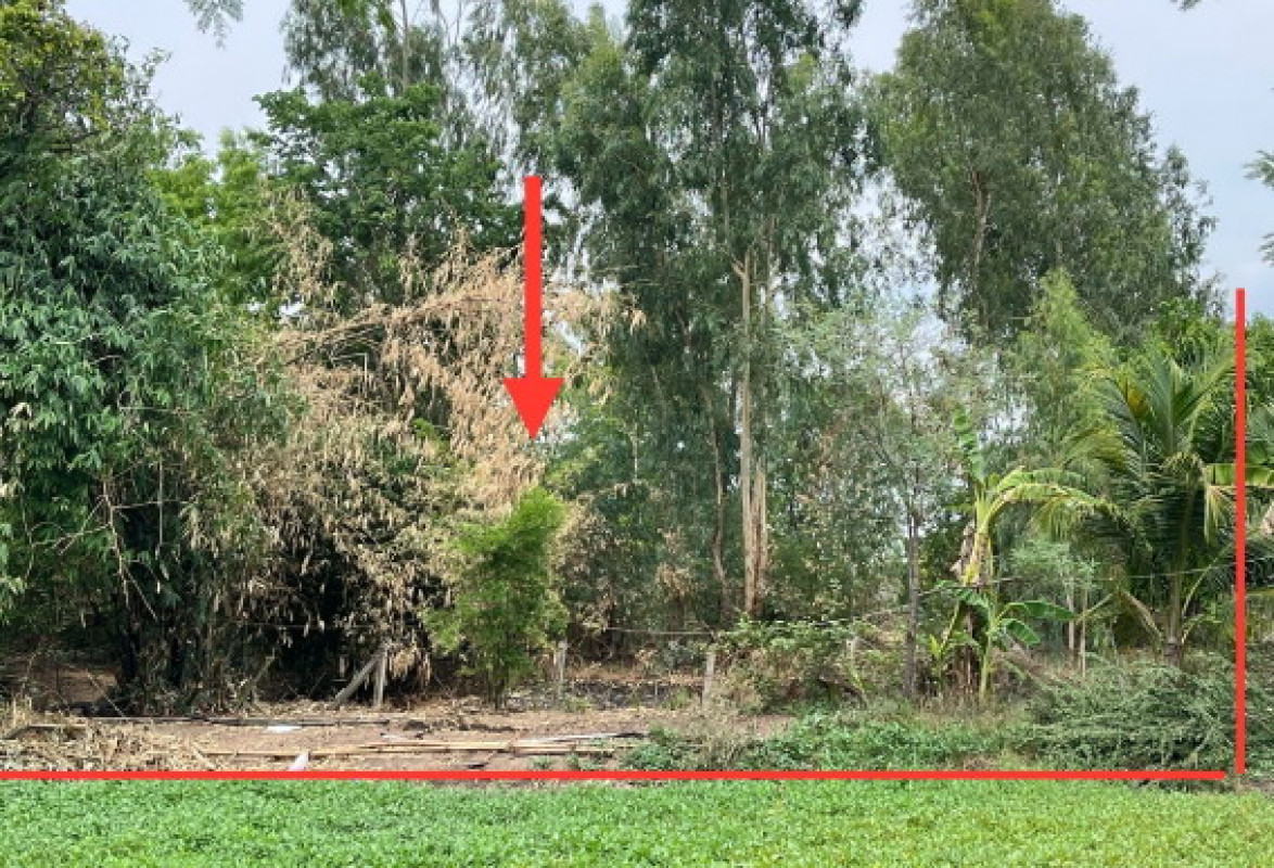 Residential land/lot Ubon Ratchathani Sawang Wirawong Tha Chang 81000