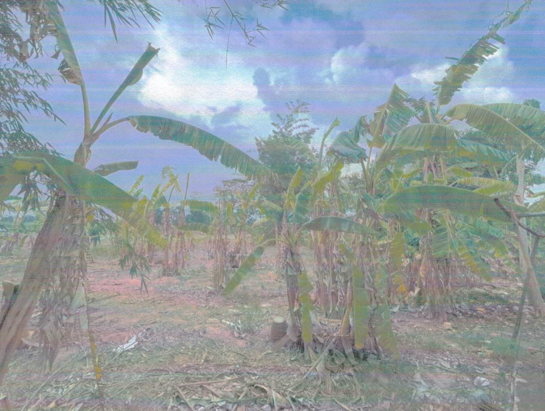 Residential land/lot Chaiyaphum Chatturat Nong Bua Khok 13200