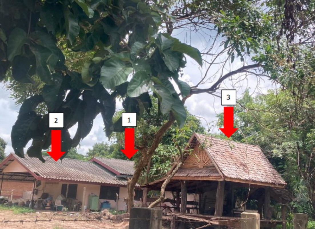 บ้านเดี่ยว อุบลราชธานี เมืองอุบลราชธานี ไร่น้อย 1689750
