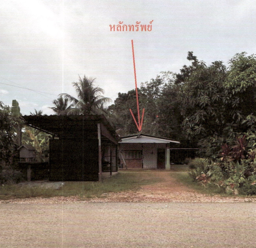 บ้านเดี่ยว พัทลุง ป่าบอน ทุ่งนารี 551664