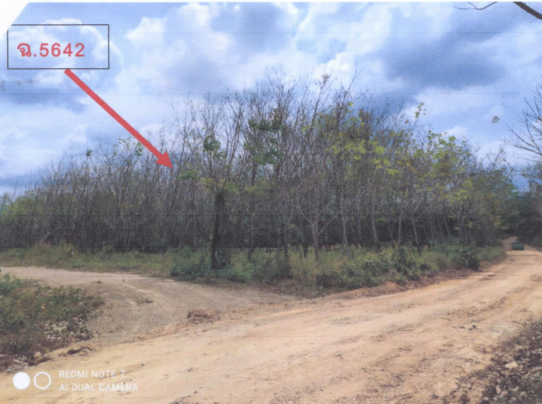 Residential land/lot Phatthalung Srinagarindra Chum Phon 955103