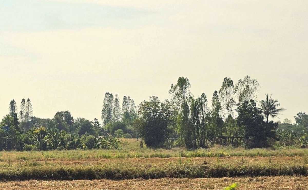 ที่ดินเปล่า ขอนแก่น เมืองขอนแก่น พระลับ 2144980
