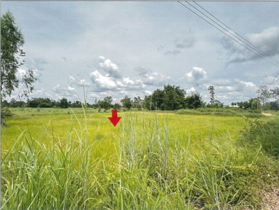 ที่ดินเปล่า อุบลราชธานี วารินชำราบ โพธิ์ใหญ่ 274924
