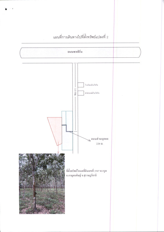 ที่ดินเปล่า สุราษฎร์ธานี กาญจนดิษฐ์ กรูด 2613000