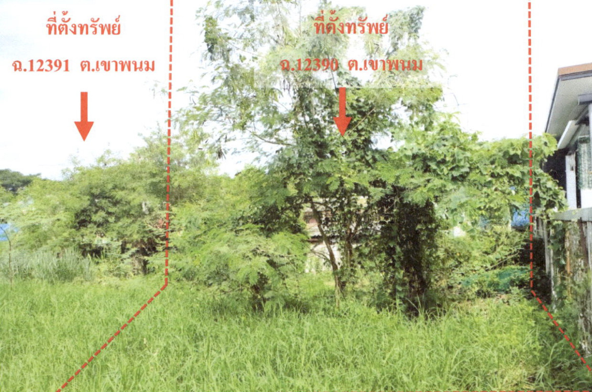 ที่ดินเปล่า กระบี่ เขาพนม เขาพนม 130000